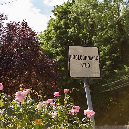Coolcormack Stud B&B Dungarvan  Eksteriør billede