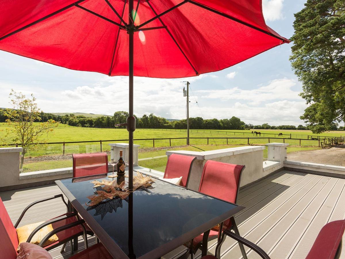 Coolcormack Stud B&B Dungarvan  Eksteriør billede